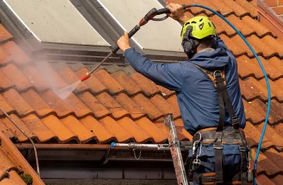 Démoussage et hydrofuge de toiture à Brangues